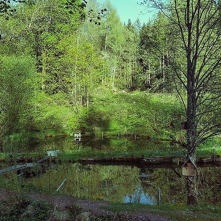 Gut Lauterbad Hotel Freudenstadt Eksteriør billede