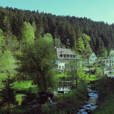Gut Lauterbad Hotel Freudenstadt Eksteriør billede