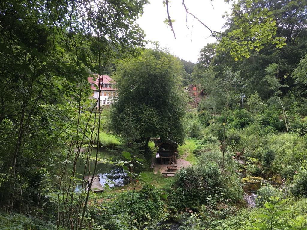 Gut Lauterbad Hotel Freudenstadt Eksteriør billede