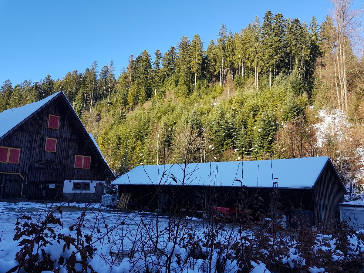 Gut Lauterbad Hotel Freudenstadt Eksteriør billede