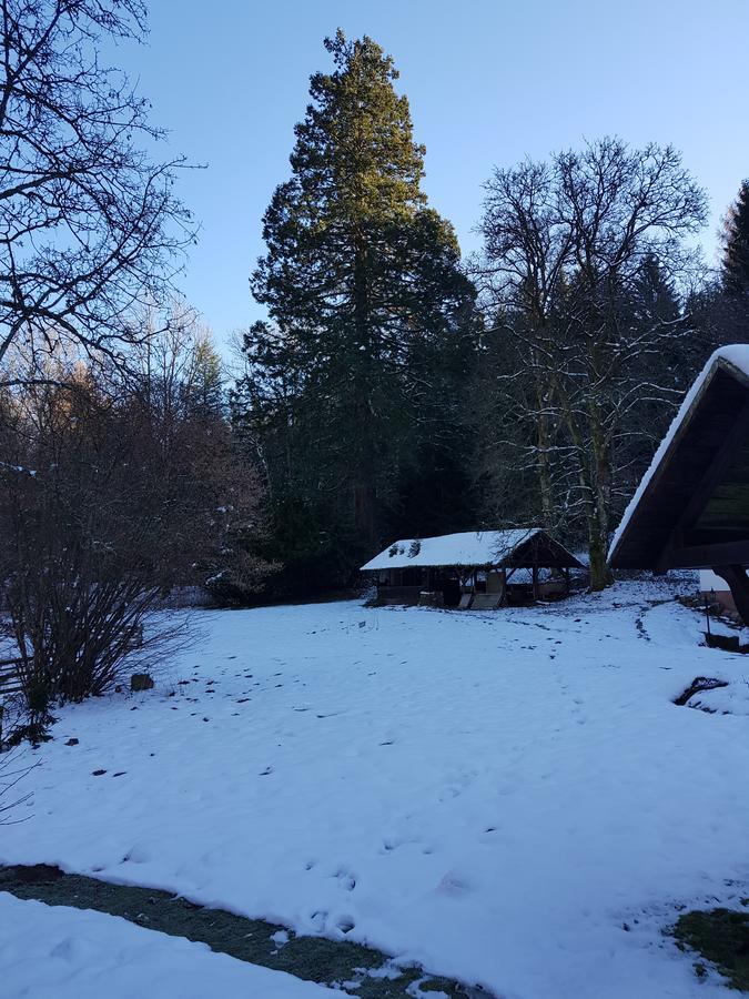 Gut Lauterbad Hotel Freudenstadt Eksteriør billede