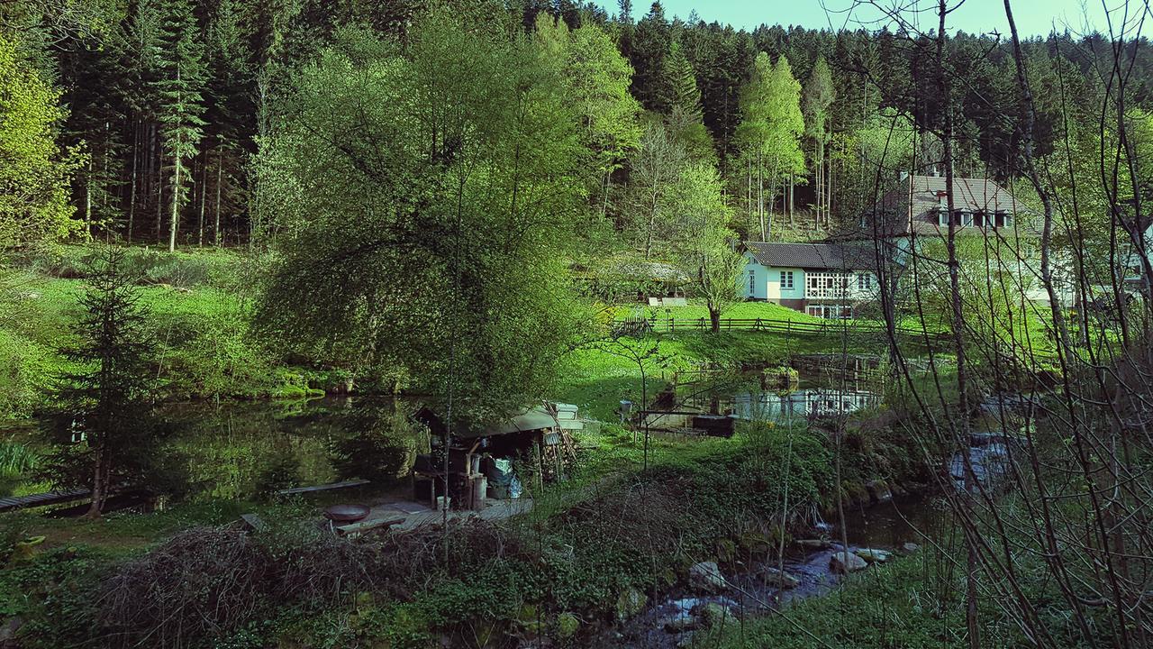 Gut Lauterbad Hotel Freudenstadt Eksteriør billede